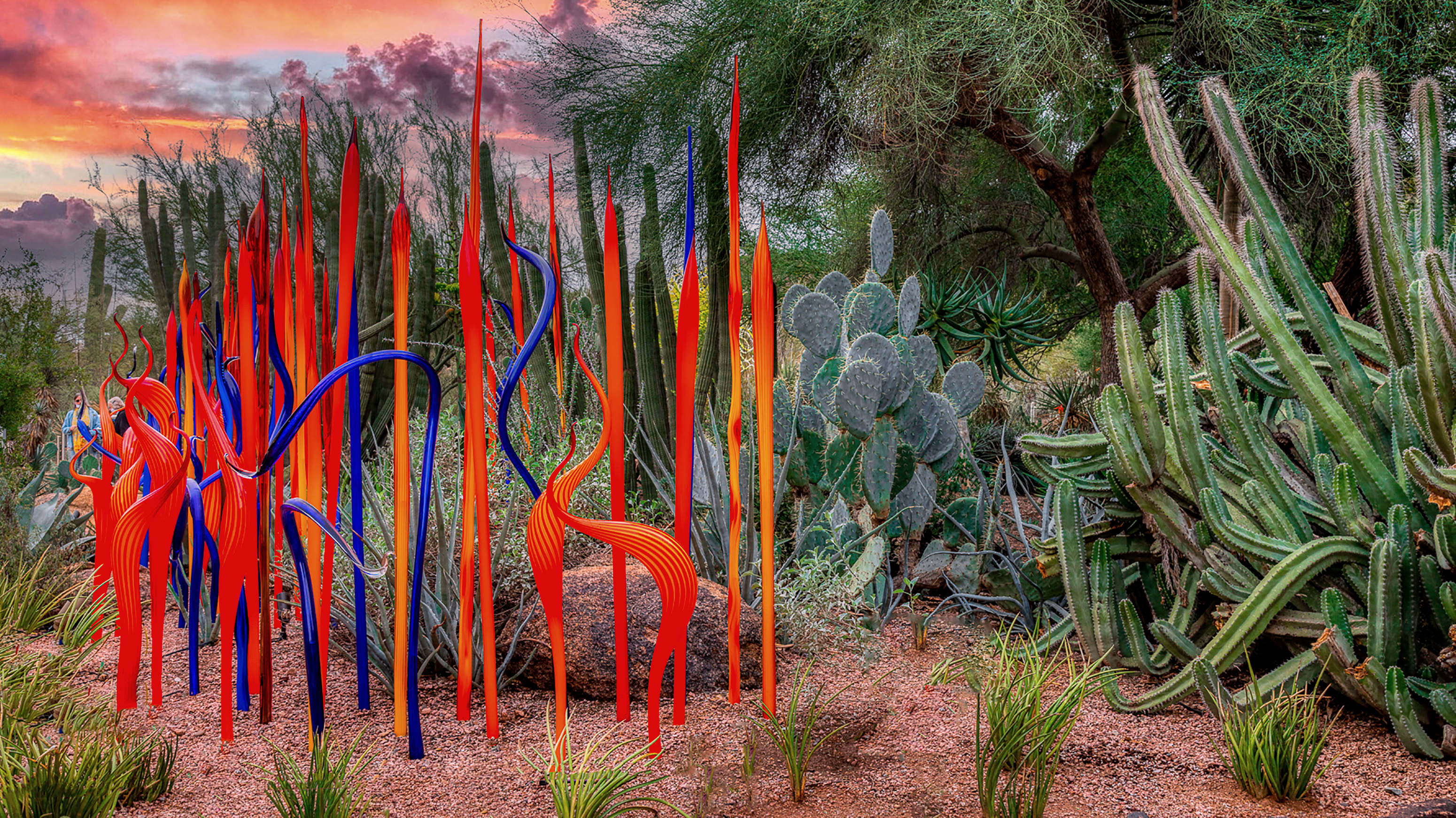 Desert botanical garden 